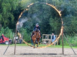 _DSC8620_web